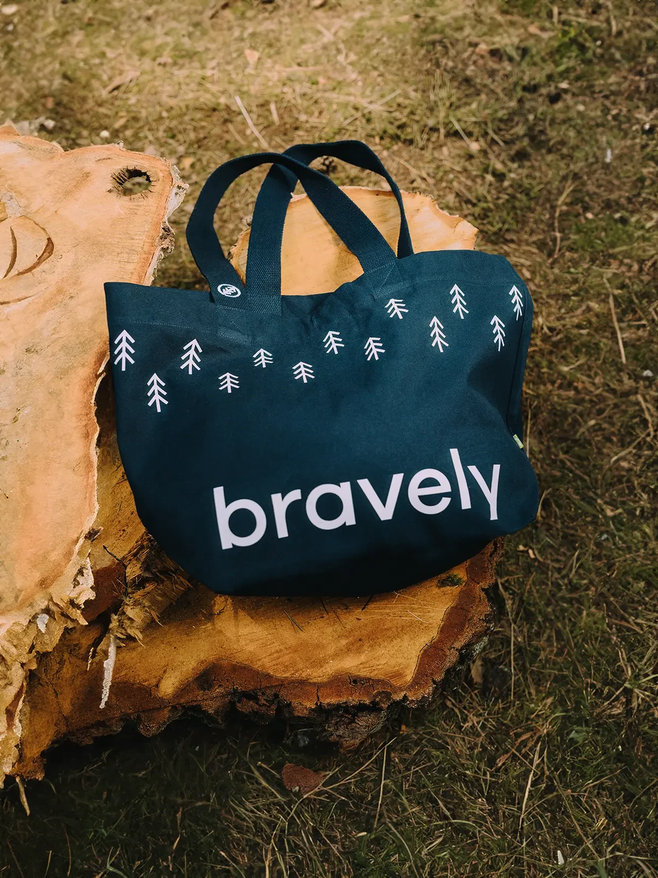 The large bag with the BRAVELY - dark